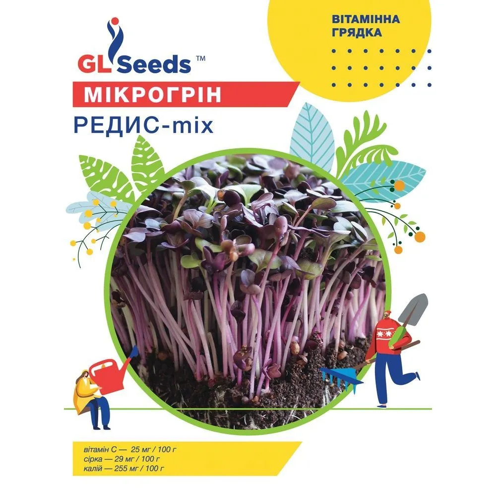 Мiкрогрiну Редис