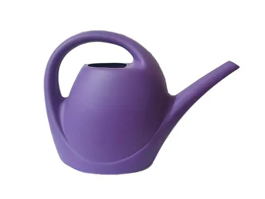 Лійка